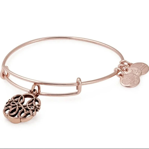 Alex and Ani Path of Life Rose Gold Charm Bangle Bracelet Adjustable - Picture 1 of 7